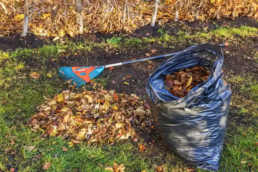 Excellent Yard Waste Removal Aurora, CO