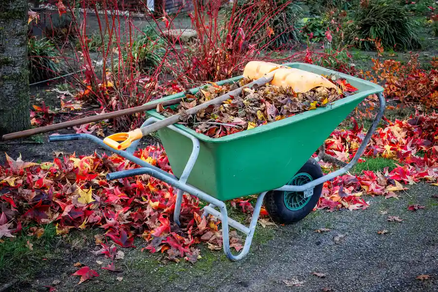 How Yard Waste Removal Supports Seasonal Lawn Maintenance Aurora, CO