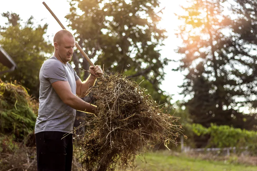How Yard Waste Removal Supports Seasonal Lawn Maintenance in Aurora, CO