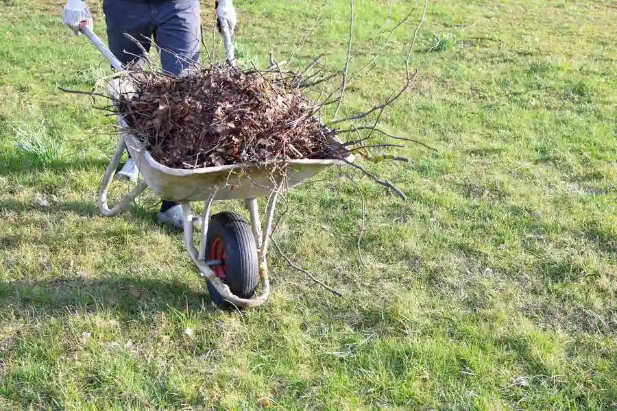 The Benefits Of Professional Yard Waste Removal Services Aurora, CO