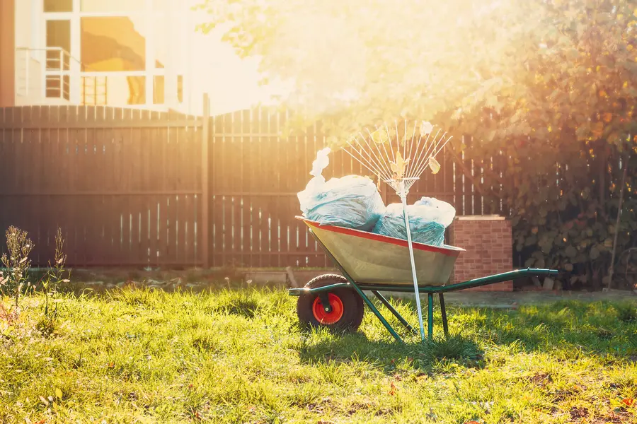 The Benefits Of Professional Yard Waste Removal Services in Aurora, CO